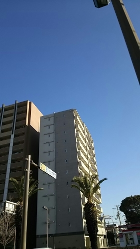 f0152875_08304472.jpg