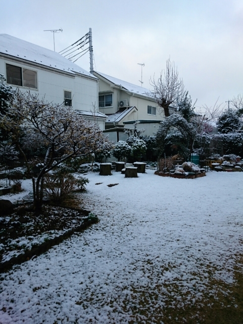 f0071477_23052488.jpg