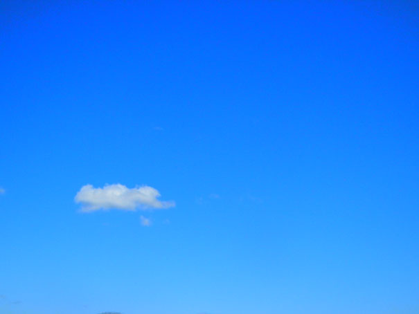 e0074782_2151120.jpg