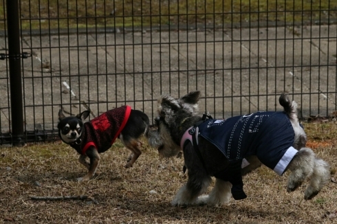 c0348784_16061942.jpg