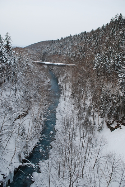 a0133886_2024571.jpg