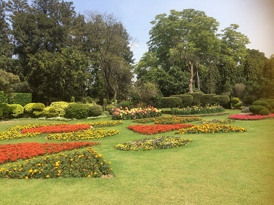 c0338191_00195954.jpg