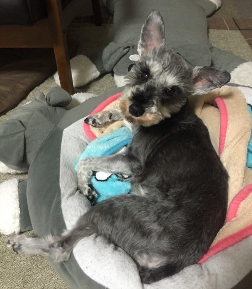 b0188998_23540967.jpeg