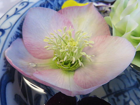 d0046702_528161.jpg