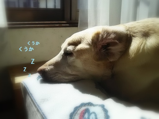 e0347508_13305251.jpg