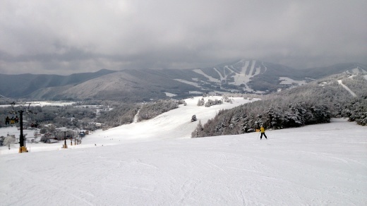 b0001324_18242100.jpg