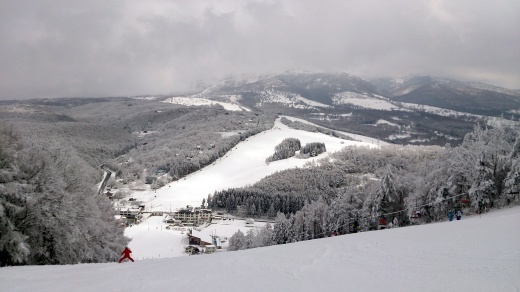 b0001324_18243990.jpg