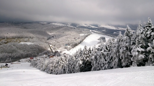 b0001324_18245063.jpg