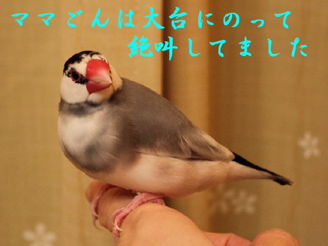 c0365734_22274912.jpg