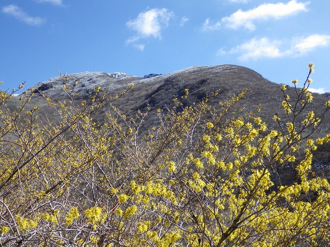 e0164643_22101126.jpg