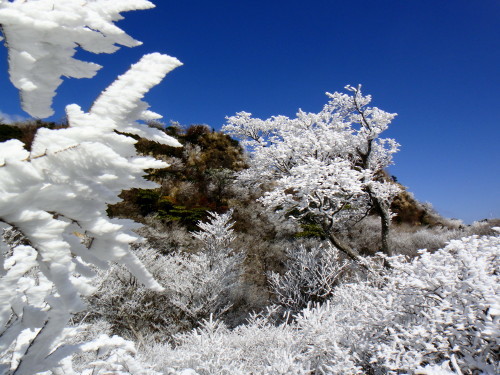c0179351_16242426.jpg