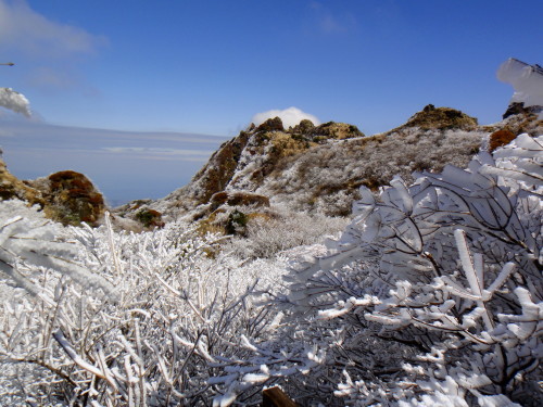 c0179351_16245274.jpg