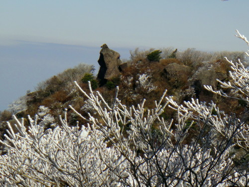 c0179351_16250717.jpg