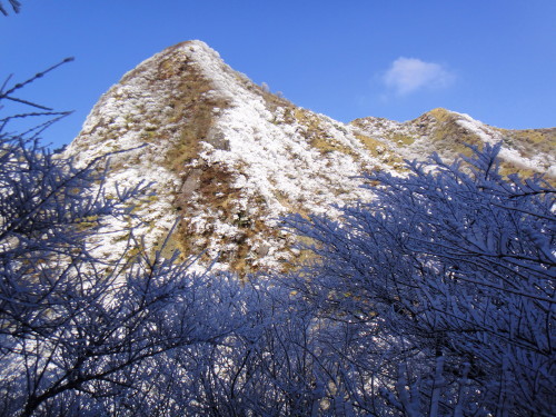 c0179351_16251952.jpg