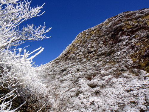 c0179351_16254846.jpg
