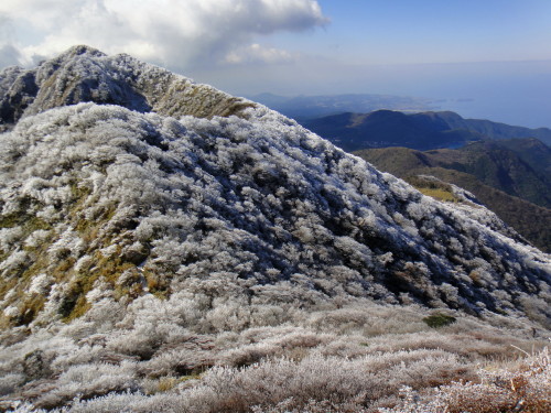 c0179351_16260108.jpg