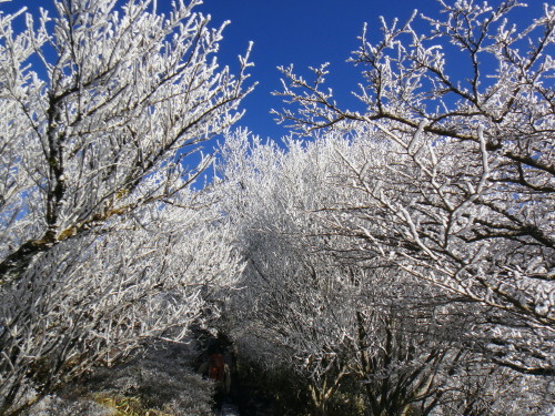 c0179351_16264588.jpg