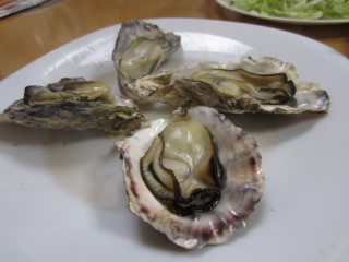 a0052952_21372786.jpg
