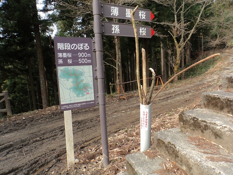 b0234354_1754315.jpg