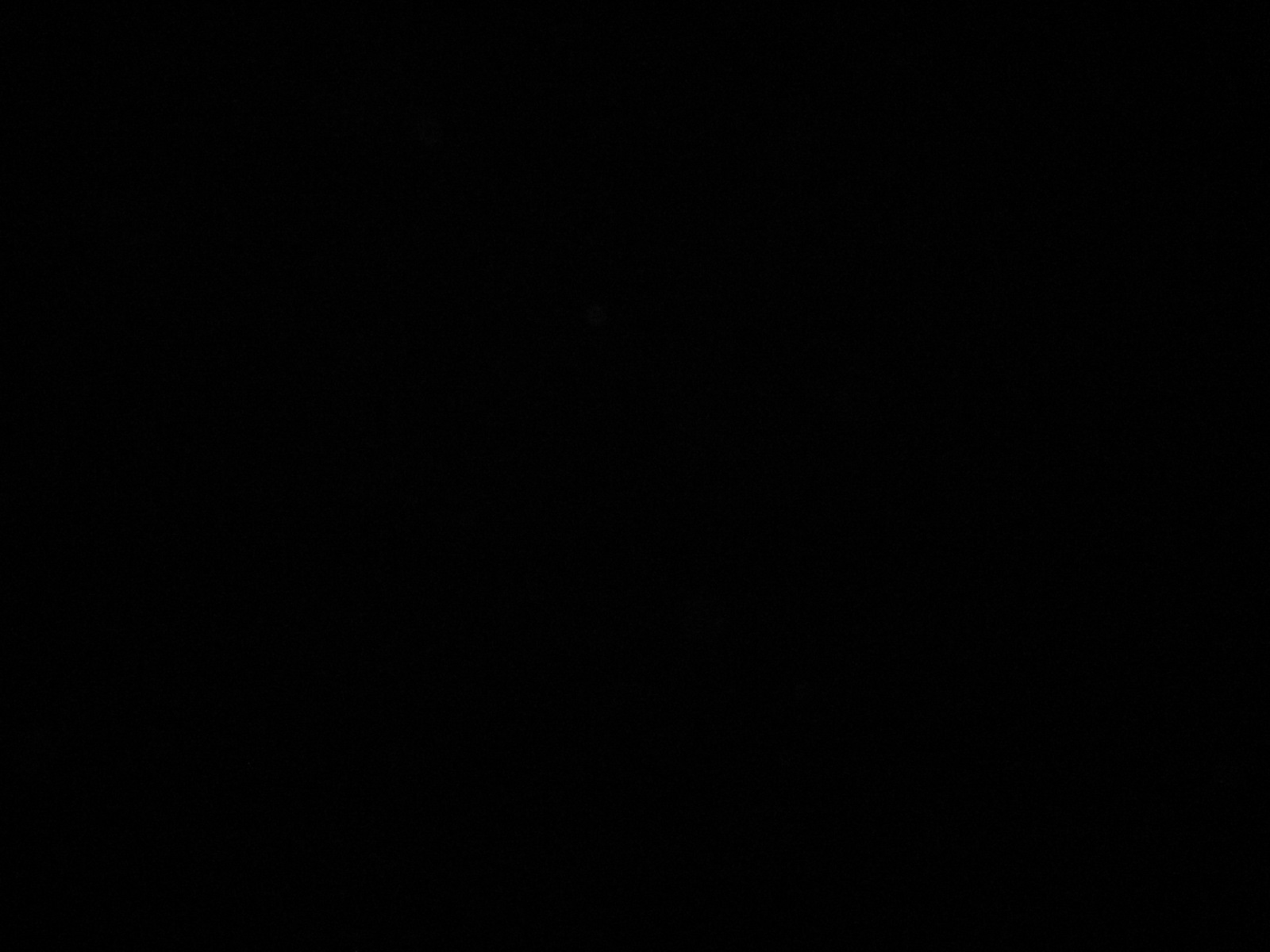 b0002156_20585064.jpg