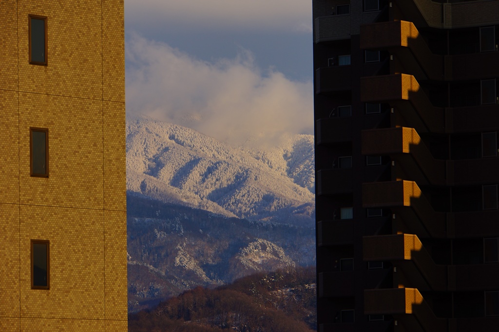 e0223456_8502641.jpg