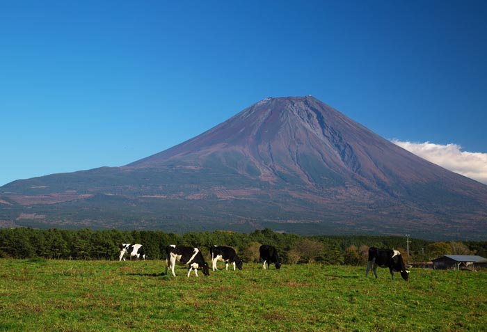 b0355457_1017162.jpg