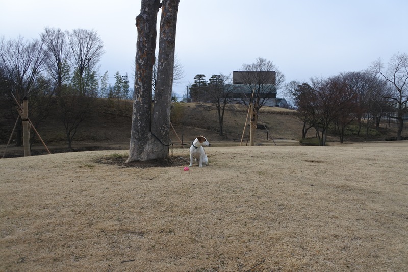 c0140260_22432586.jpg