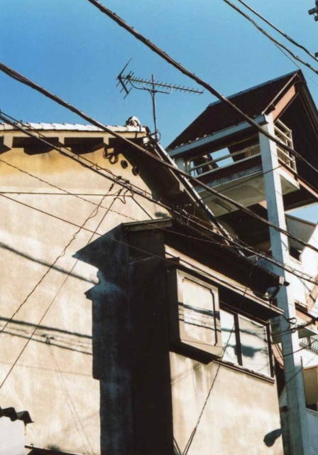 c0082066_16262058.jpg