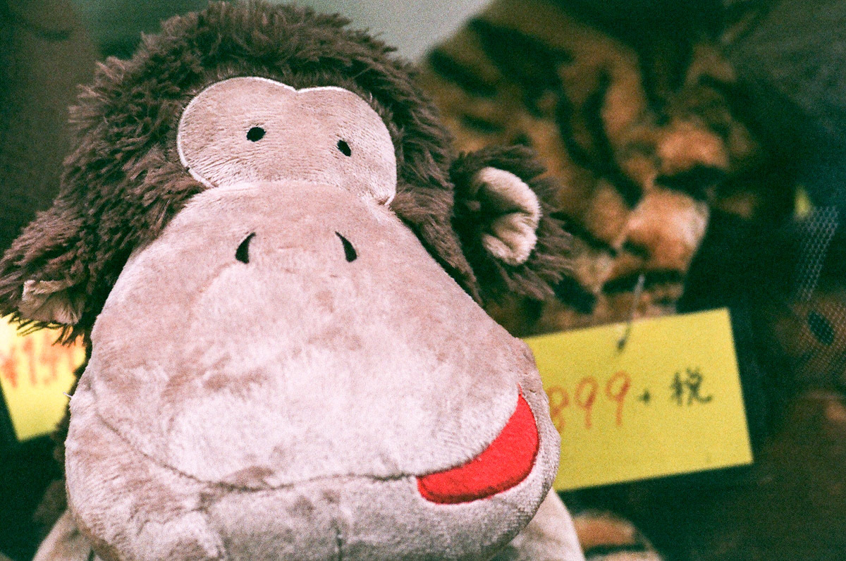 c0084666_13353097.jpg