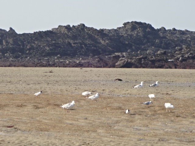 d0347869_653287.jpg