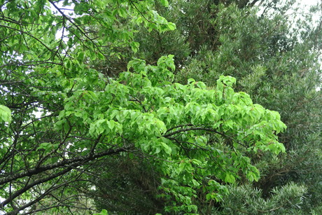 e0292172_2023613.jpg