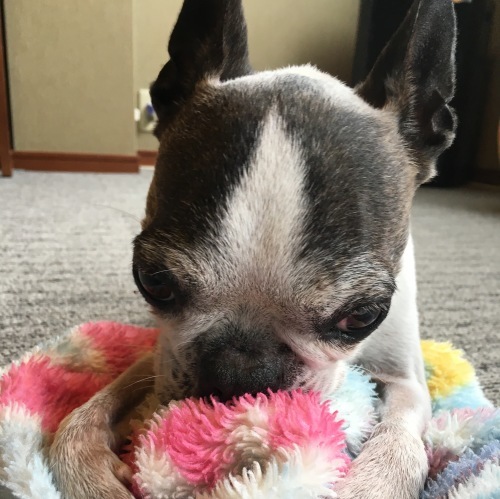 d0041575_23111785.jpeg