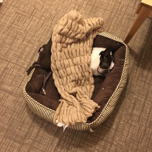 d0041575_23144677.jpeg