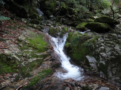 d0182075_4222313.jpg