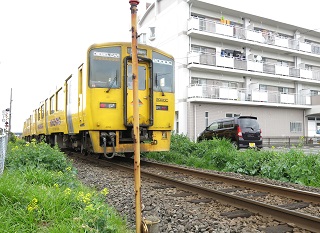 e0130185_1341757.jpg