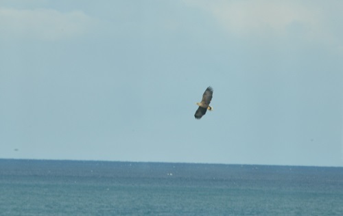 f0268294_23390568.jpg