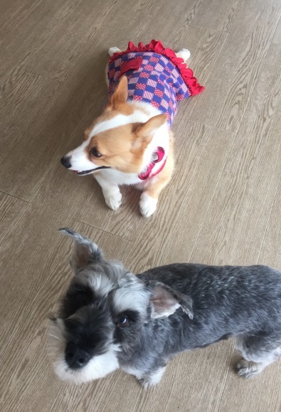 b0188998_17092680.jpeg