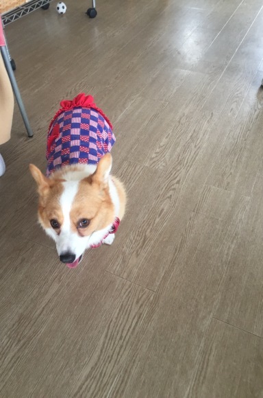 b0188998_17093806.jpeg