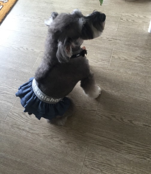 b0188998_17101749.jpeg