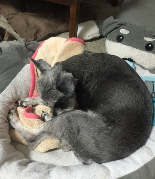 b0188998_17114618.jpeg