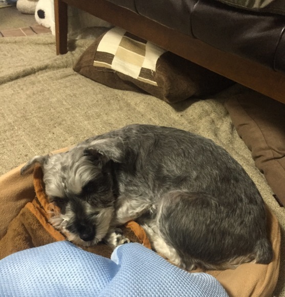 b0188998_17115901.jpeg