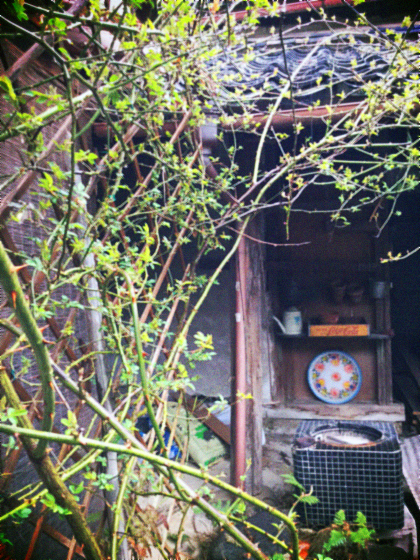 d0077603_13133280.jpg