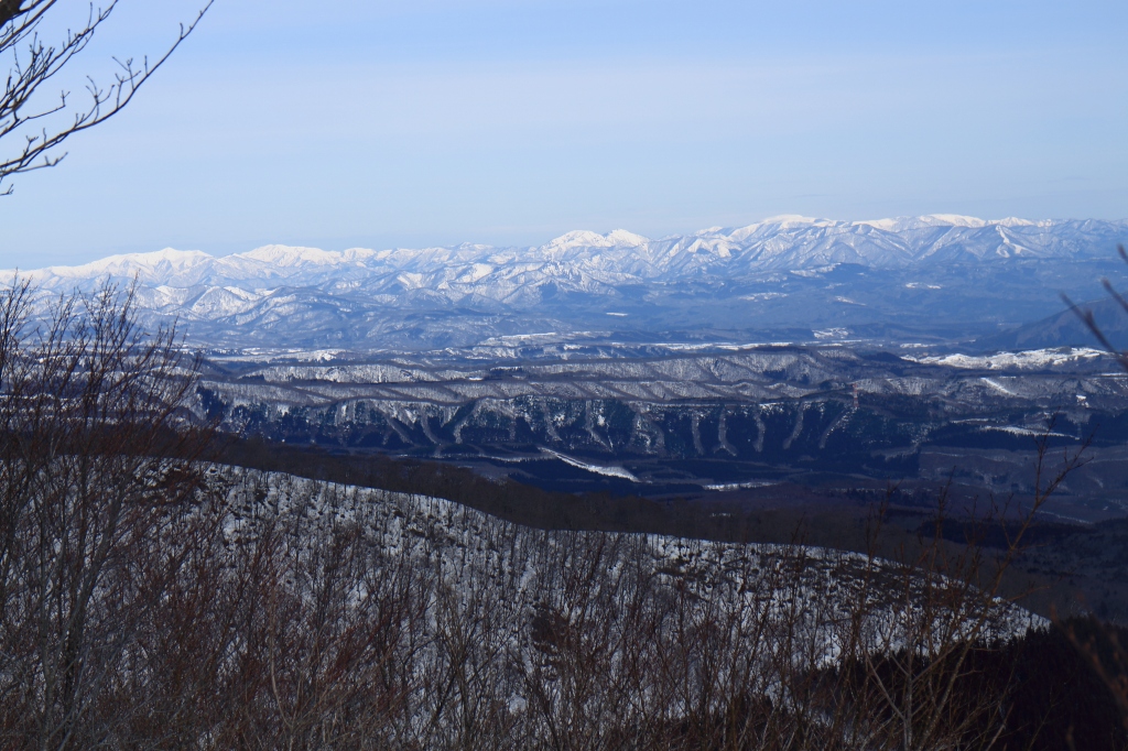 b0050305_2015463.jpg