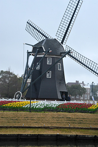 a0278809_16284999.jpg