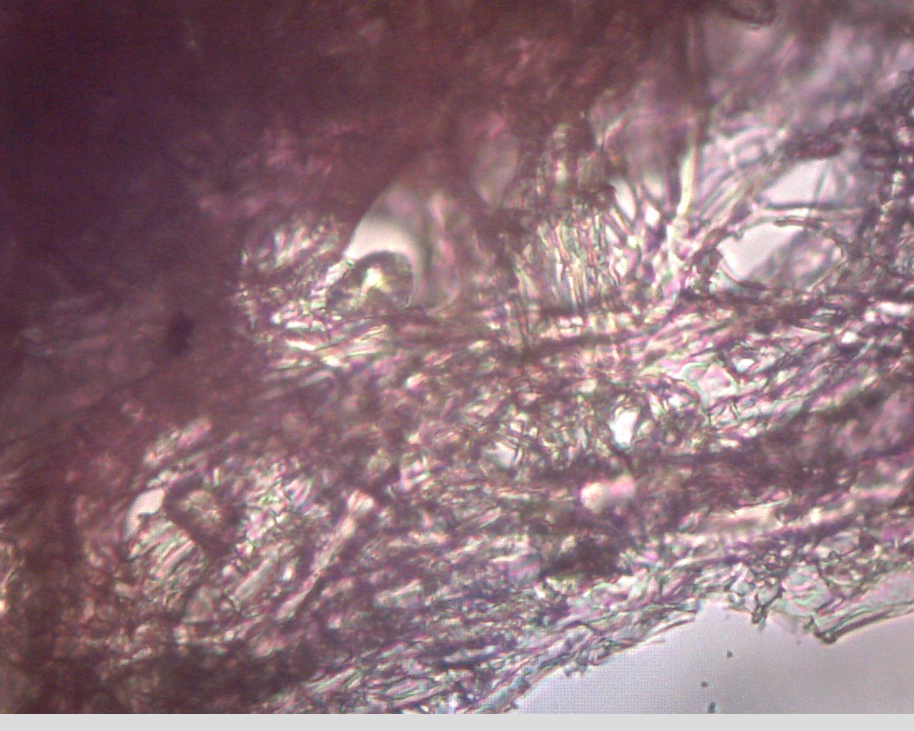 e0352220_00215646.jpg