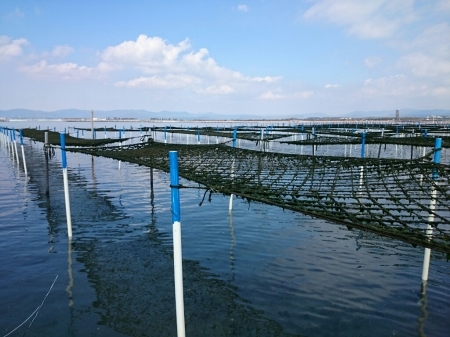 b0259124_22100901.jpg