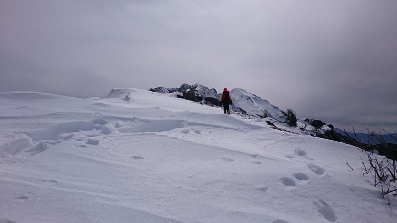 d0107938_15234834.jpg