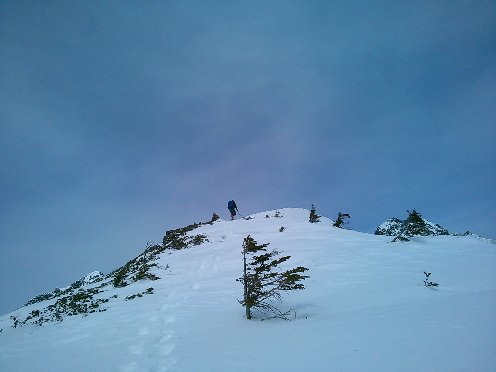 d0107938_152825.jpg