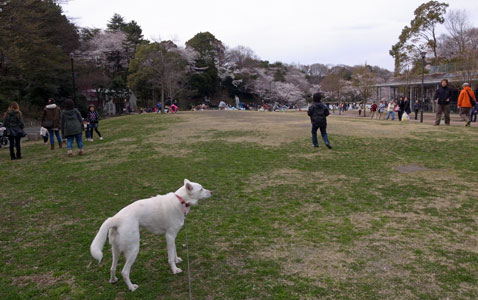 a0117039_1564980.jpg