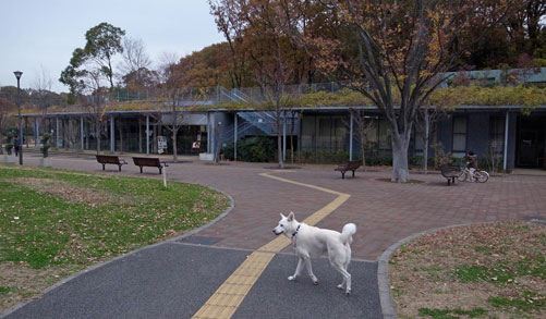 a0117039_15702.jpg